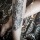 BLOGSPECIAL Tattoos: Meine Tattoos Teil 2